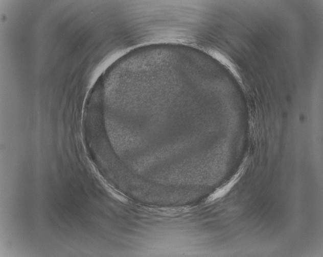 X0000066081077200604071726