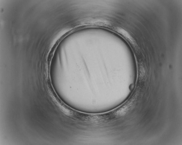 X0000066081079200604071726