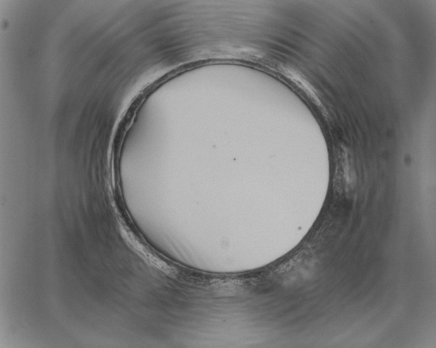 X0000066081080200604071726