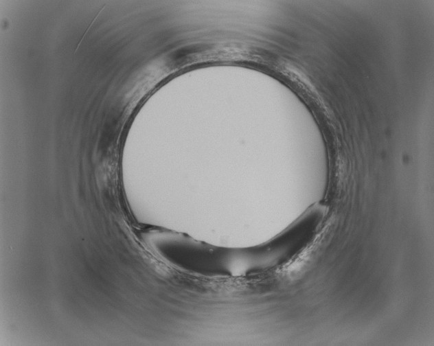 X0000066081081200604071726