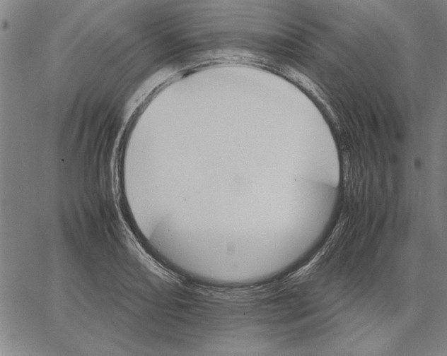 X0000066081082200604071726