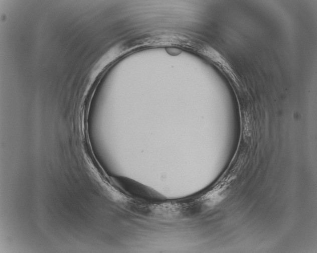 X0000066081083200604071726