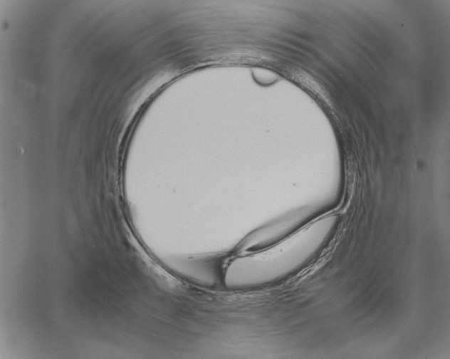 X0000066081087200604071726