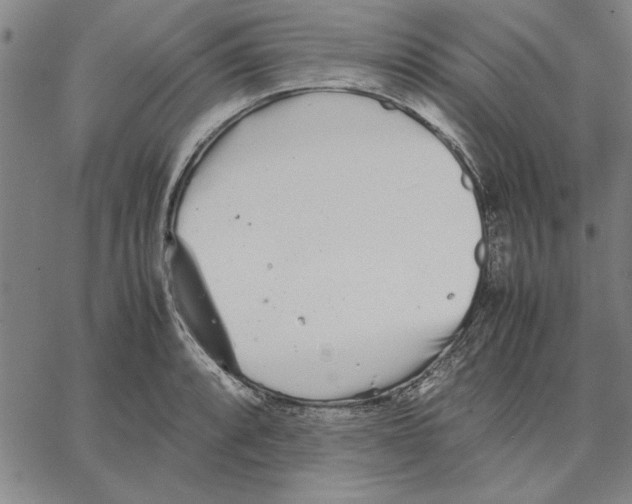 X0000066081088200604071726