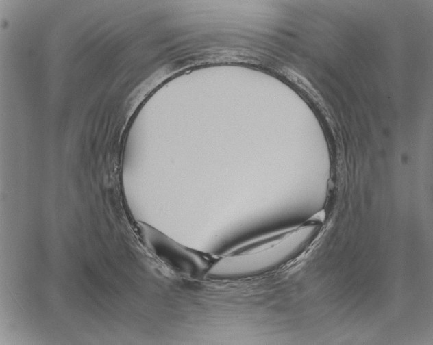 X0000066081089200604071726