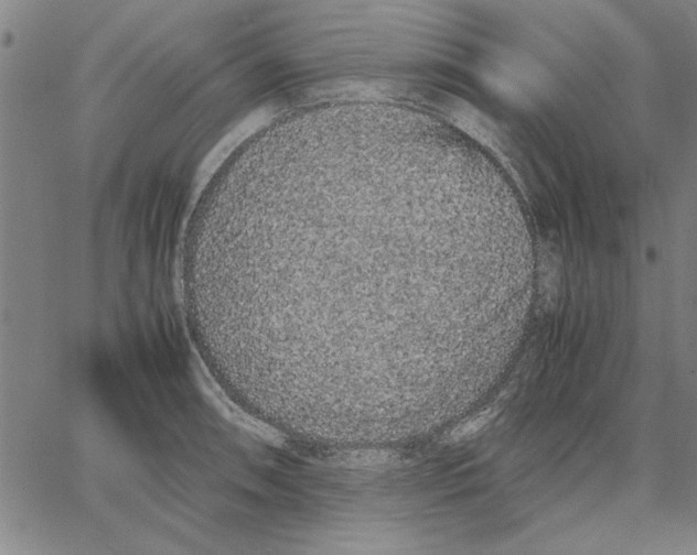 X0000066081090200604071726