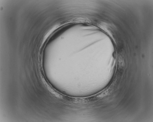 X0000066081091200604071726