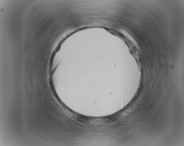 X0000066081093200604071726