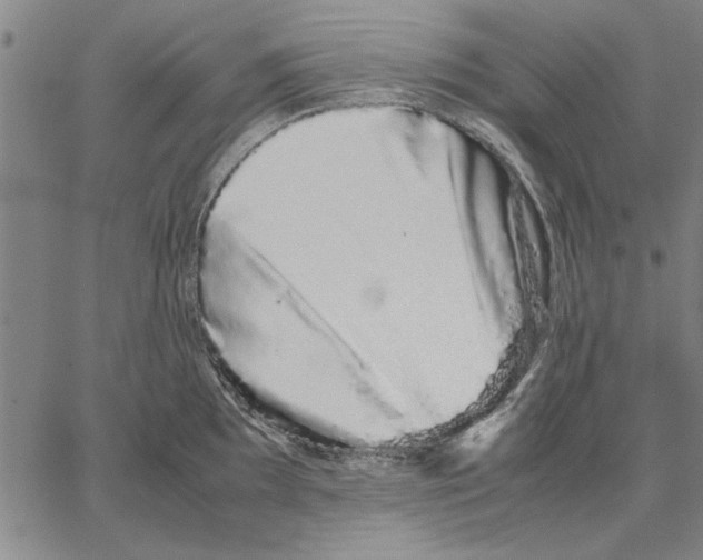 X0000066081097200604071725