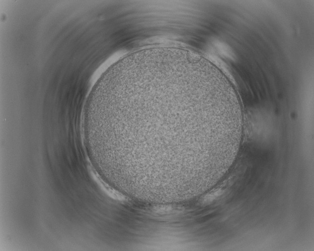 X0000066081098200604071725