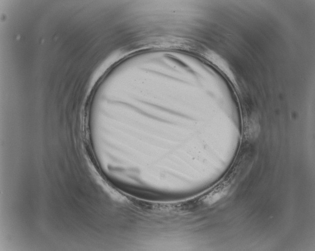 X0000066081099200604071725