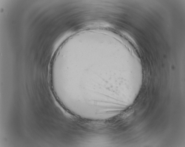 X0000066081103200604071725