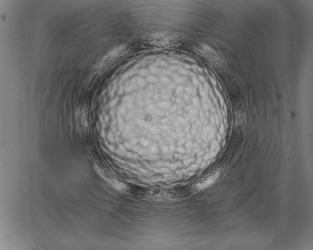 X0000066081106200604071725