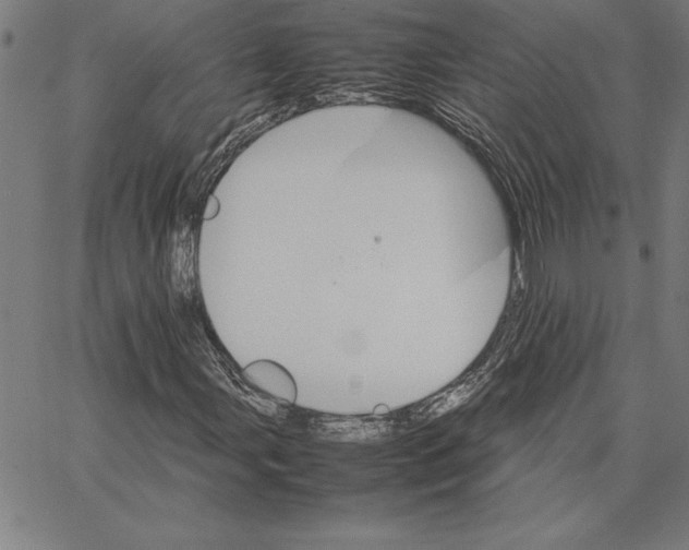 X0000066081107200604071725