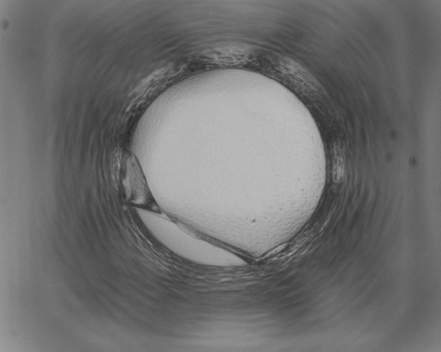 X0000066081108200604071725