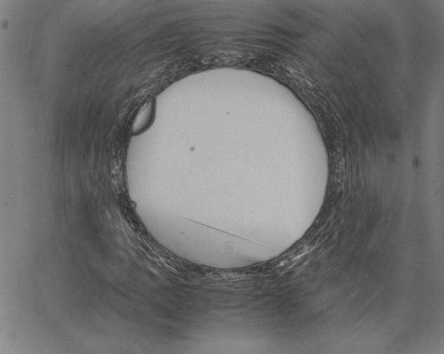 X0000066081109200604071725