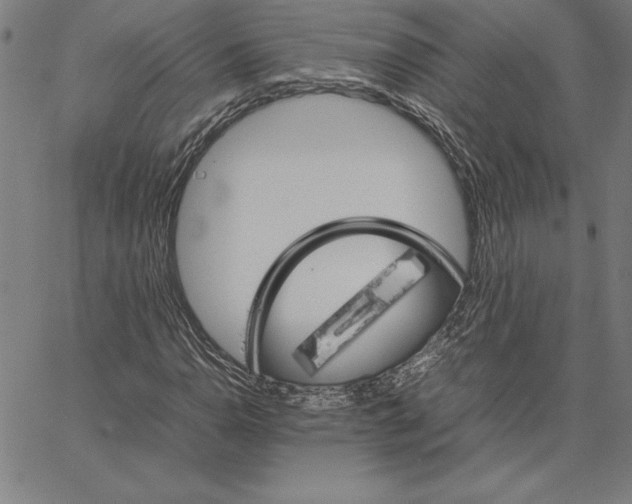 X0000066081110200604071725