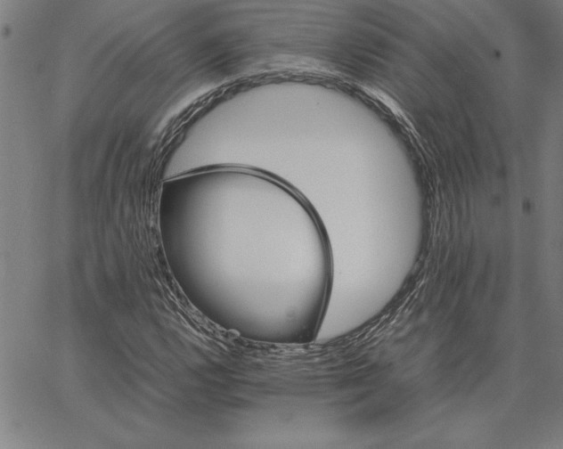 X0000066081112200604071725