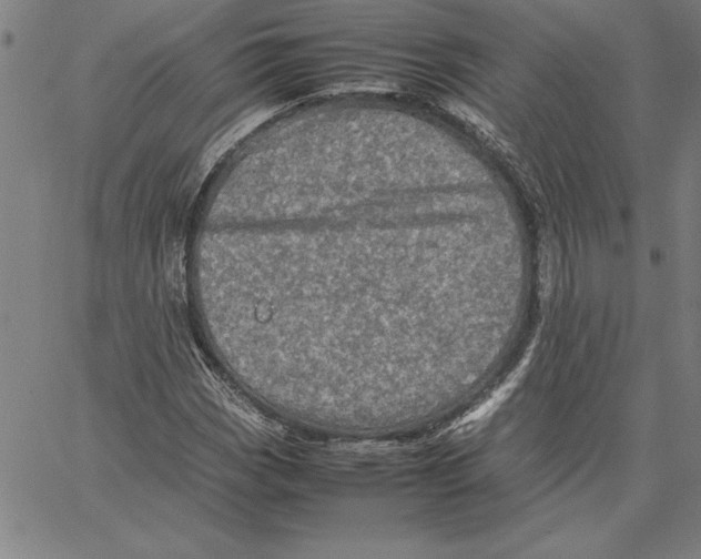 X0000066081113200604071725