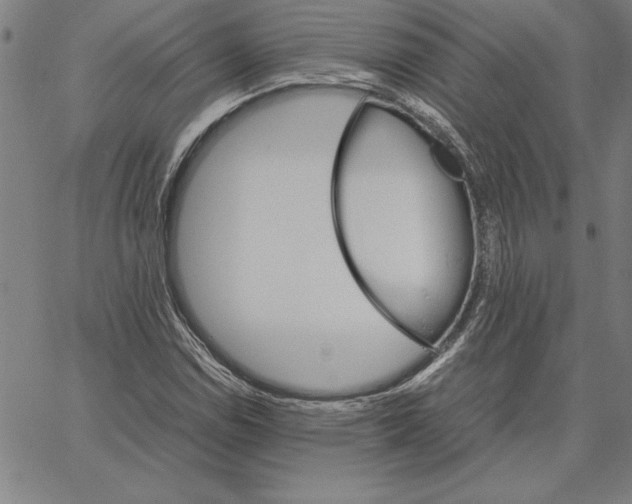 X0000066081114200604071725