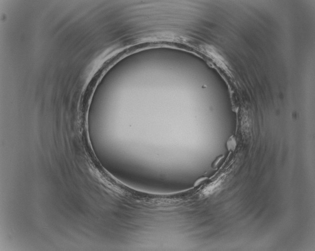 X0000066081116200604071725