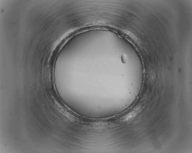 X0000066081118200604071725