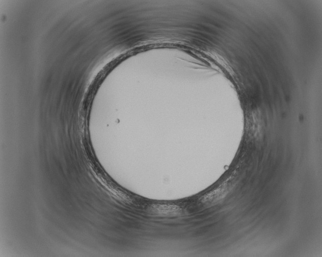 X0000066081119200604071725