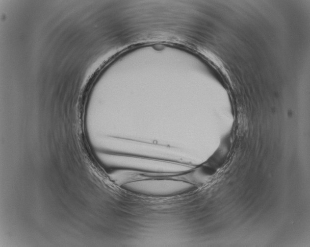 X0000066081120200604071725