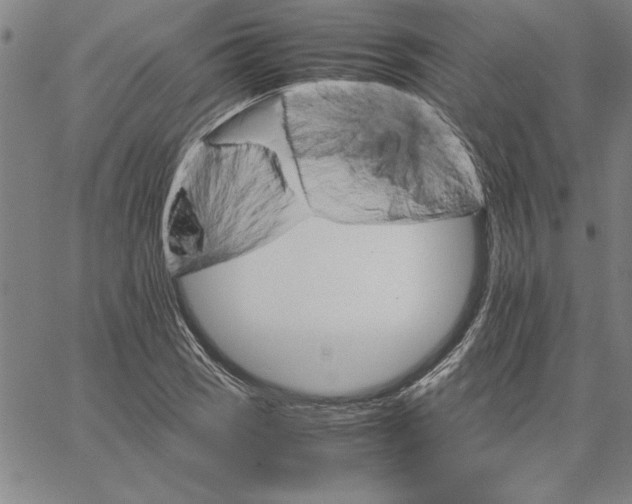 X0000066081121200604071725