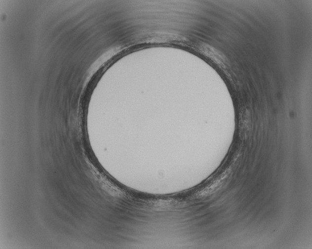 X0000066081122200604071725