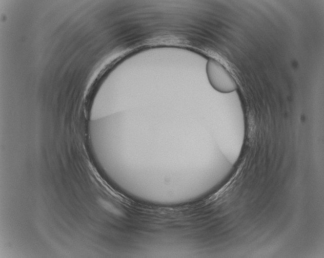 X0000066081123200604071725