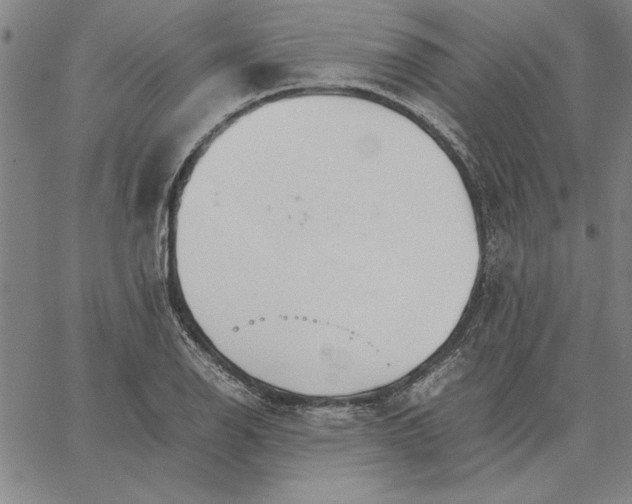 X0000066081126200604071725