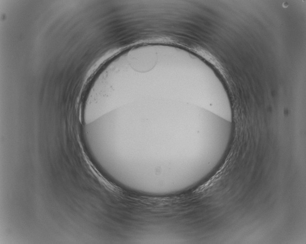 X0000066081127200604071725