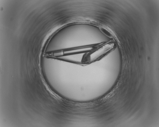 X0000066081128200604071725