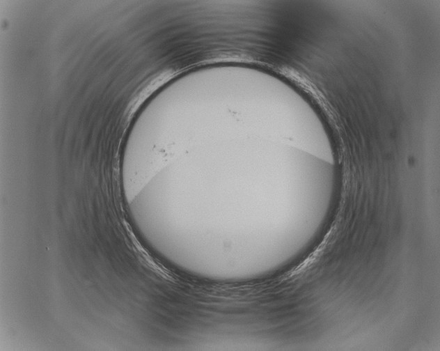 X0000066081129200604071725