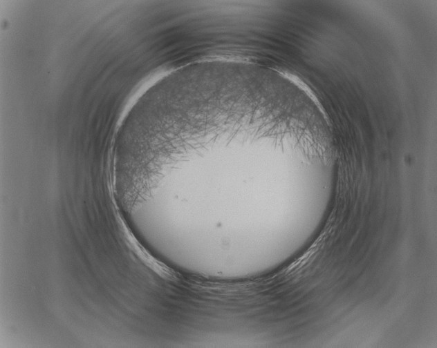 X0000066081131200604071725