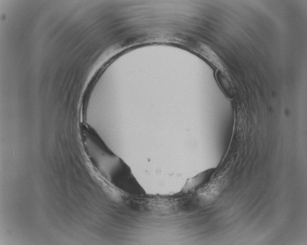 X0000066081132200604071725