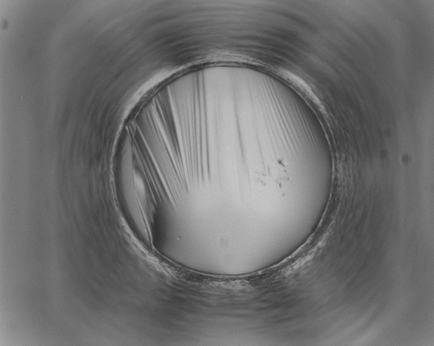 X0000066081133200604071725