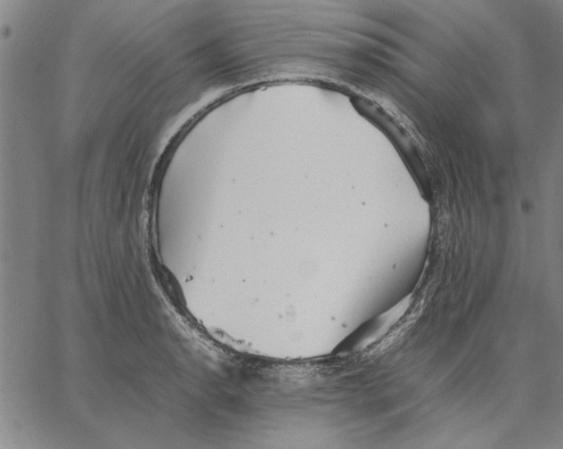 X0000066081134200604071725