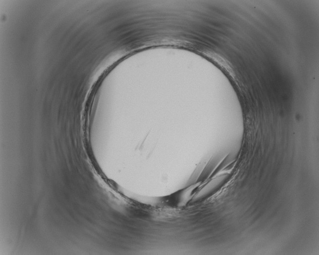 X0000066081135200604071725