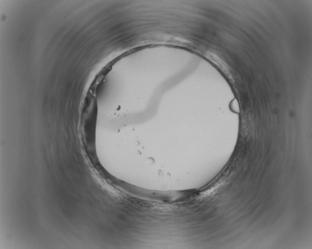 X0000066081136200604071725