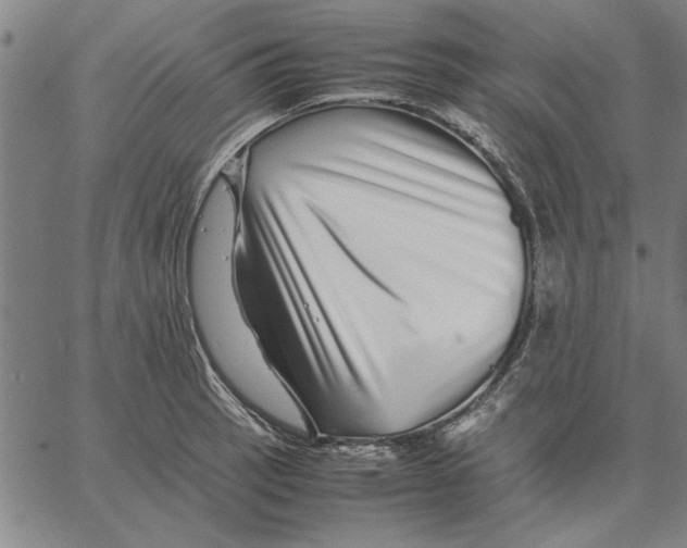 X0000066081137200604071725