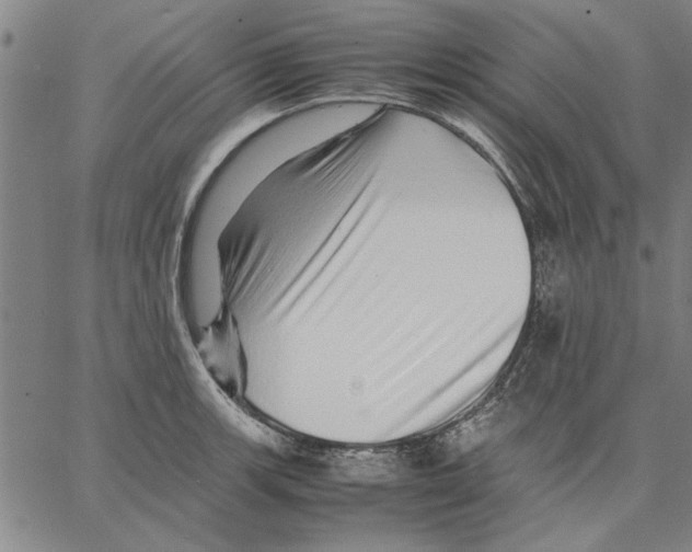 X0000066081139200604071725