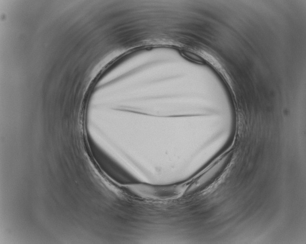 X0000066081141200604071725