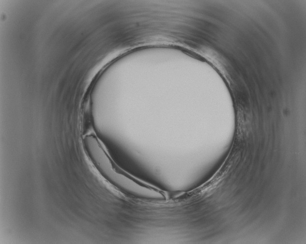 X0000066081142200604071725