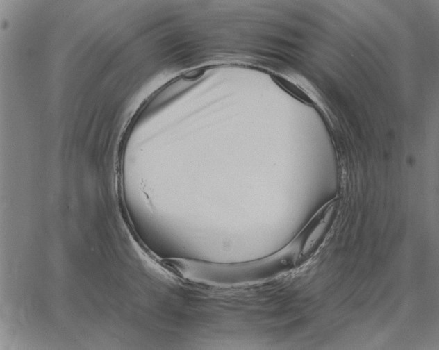 X0000066081143200604071725