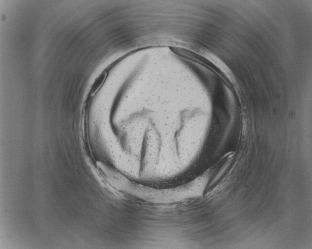 X0000066081144200604071725