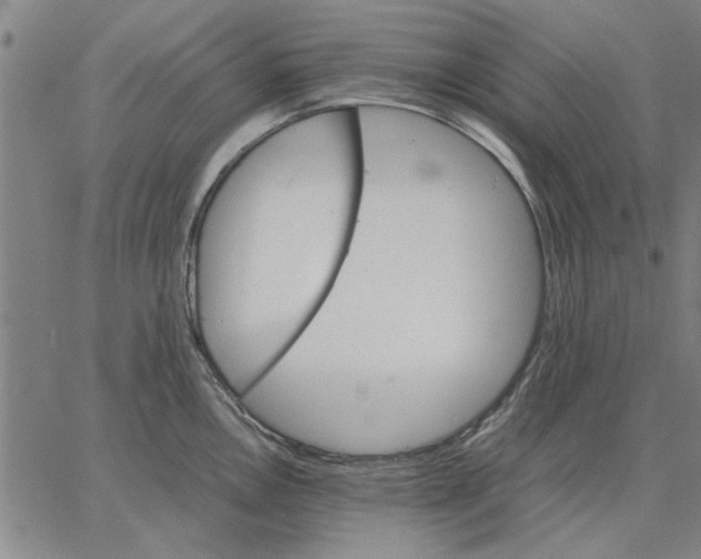 X0000066081146200604071725