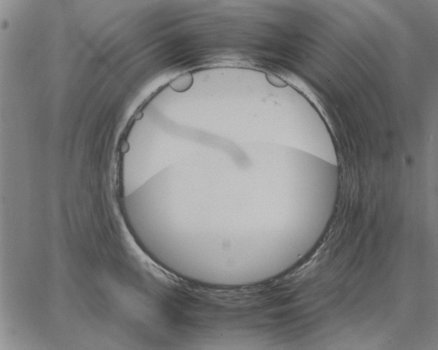 X0000066081147200604071725