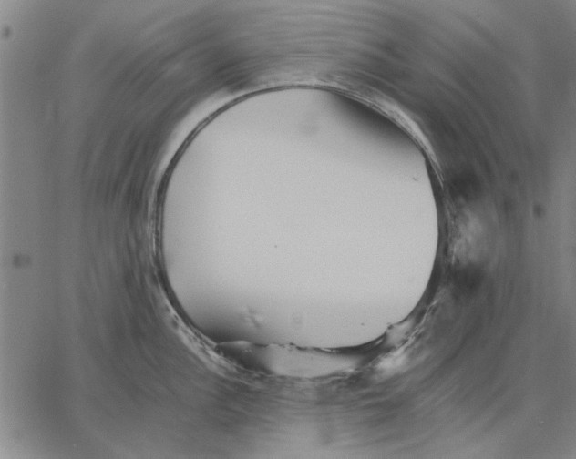 X0000066081148200604071725